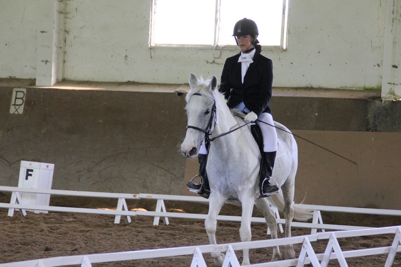 Zolina acogi&oacute; la Primera Fase de la Liga de Ponis de los JDN